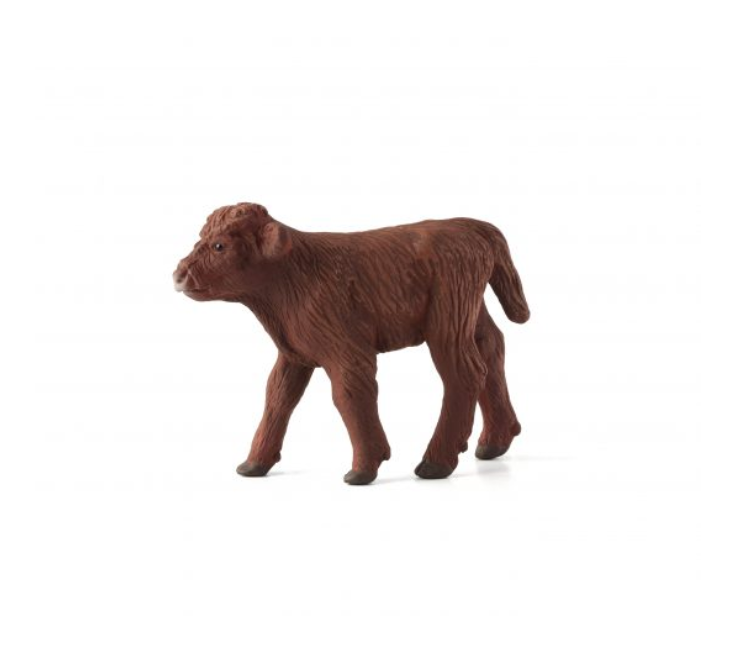 گوساله کوهستانی  موجو Highland Calf 387202